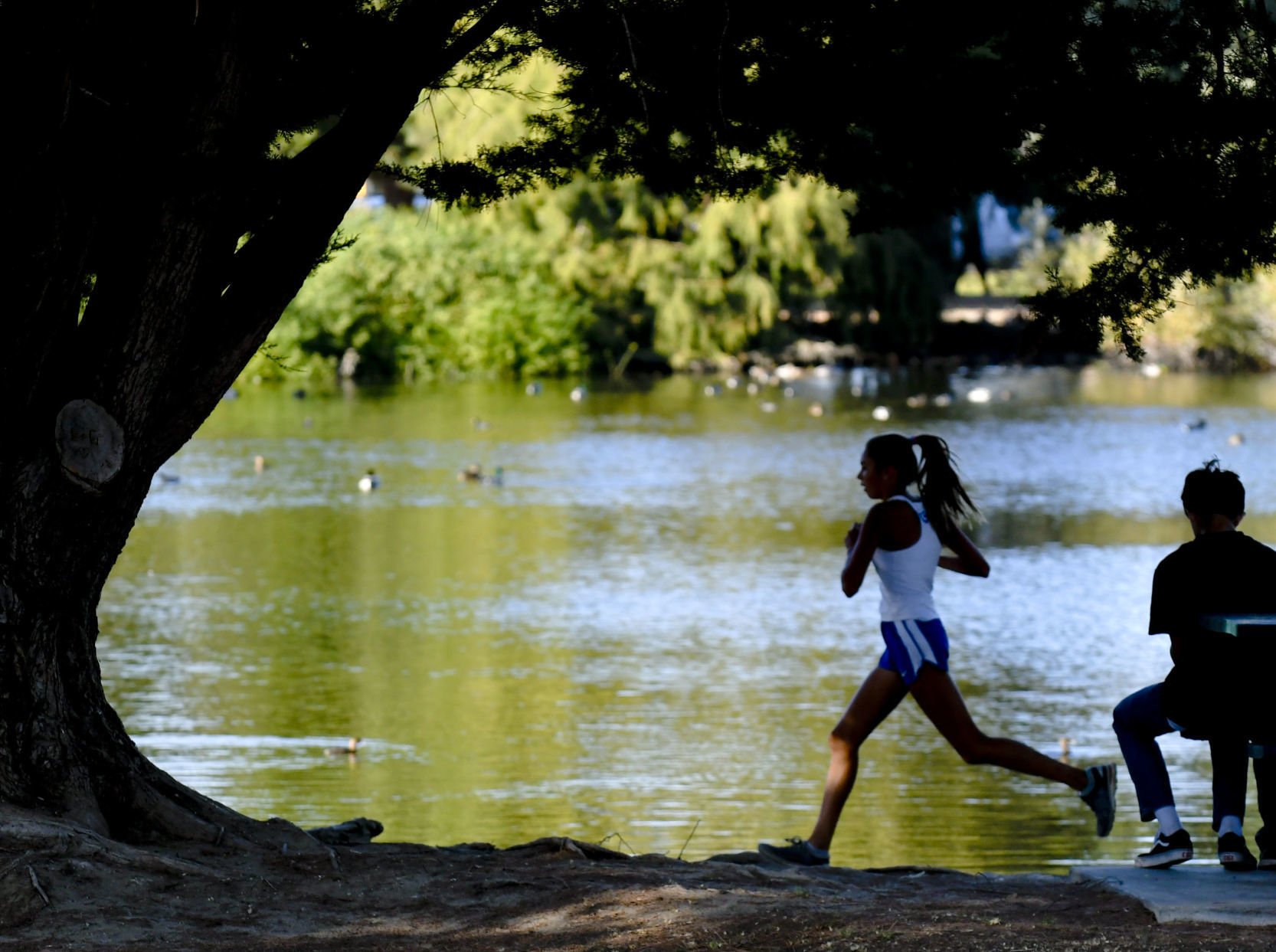 103019 County Cross Country 11.jpg